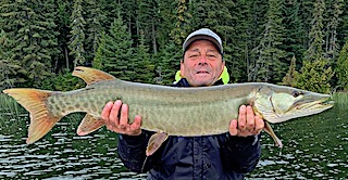 Multiple Muskie Days Fishing by Steve at Fireside Lodge in Canada